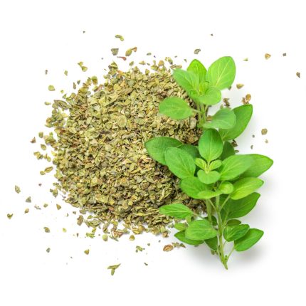 Oregano